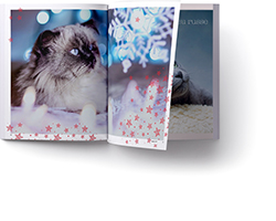 doublepage Miaou